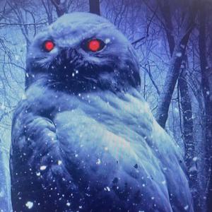 owls in the morning field (Ghost Owls) (feat. Nature Therapy & Naturalis) (Algoritmarte Remix)