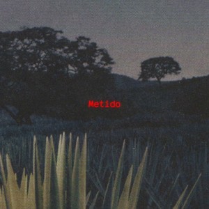 Metido