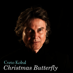 Christmas Butterfly