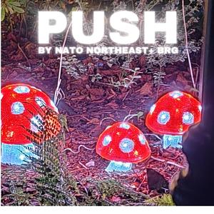 PUSH