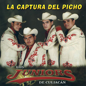 La Captura Del Picho