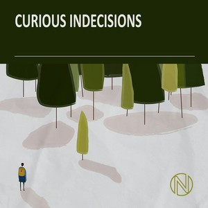 Curious Indecisions