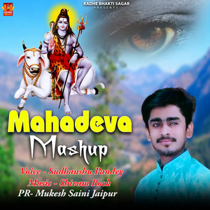 Mahadeva Mashup