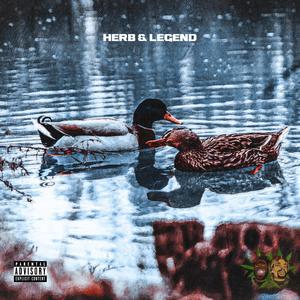 Ducks (feat. nXnety & Jupyter) [Explicit]