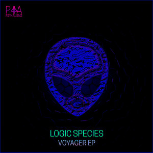 Voyager (Original Mix)