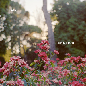 Emotion