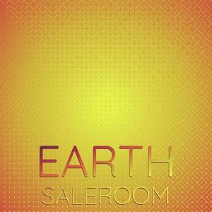 Earth Saleroom