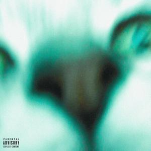ACT RIGHT (Explicit)