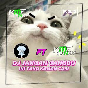 DJ Jangan Ganggu Ft Farel sopan