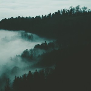The Awakening