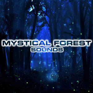 Calming Mystical Forest Night(feat. White Noise Sounds For Sleep, National Geographic Soundscapes, Animals Sounds, White Noise Ambience, Soothing Sounds & Soothing Baby Sounds)