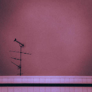 She Was The Gold Rush