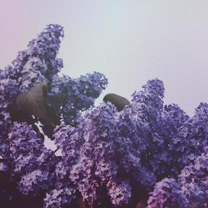 Lilac(feat. Thomas Ng)