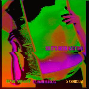 Been Waiting (feat. Xeroxium & Kami Nebulas) (Explicit)