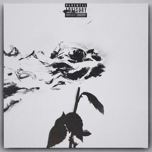 Never Give Up on Love (feat. Kadi) (Explicit)