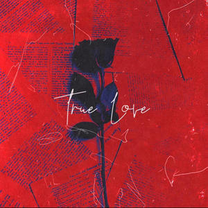 True Love (feat. MonyBo) (Explicit)