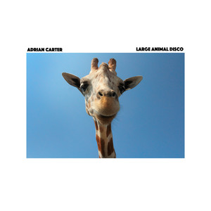 LARGE ANIMAL DISCO
