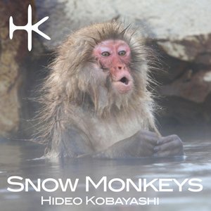 Snow Monkeys (A.Mochi Remix)