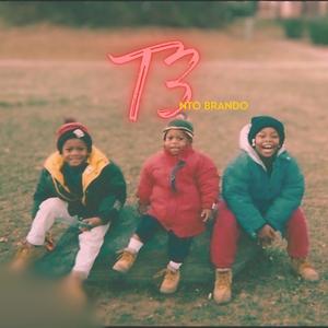 T3 (Explicit)