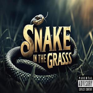 Snake In The Grass (Explicit)