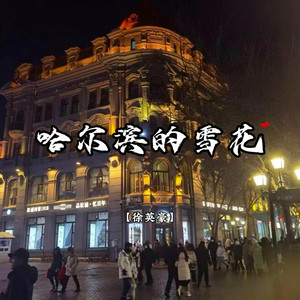 哈尔滨的雪花