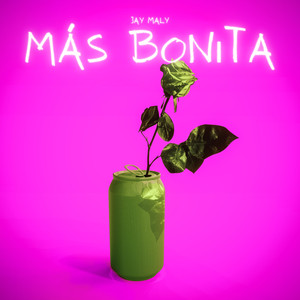 Mas Bonita
