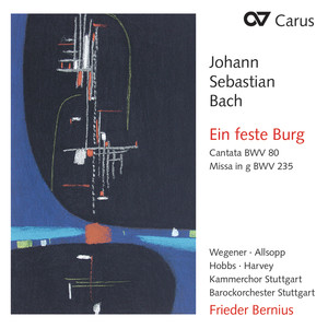 Mass in G Minor, BWV 235 - IV. Domine Fili