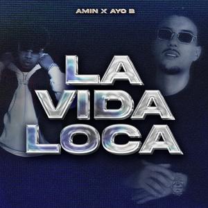 LA VIDA LOCA (feat. AYO B) (Explicit)