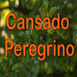 Cansado Peregrino