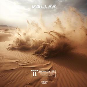 Vallée (feat. Lizéa) (Explicit)