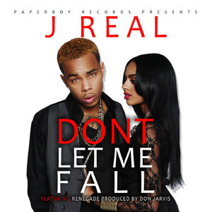 Don't Let Me Fall (feat. Renegade) - Single