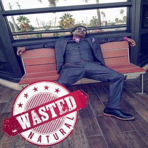 Wasted (Explicit)