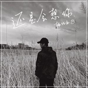 还是会想你-杨绍禹