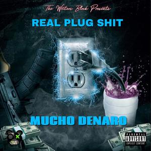 Real plug **** (Explicit)