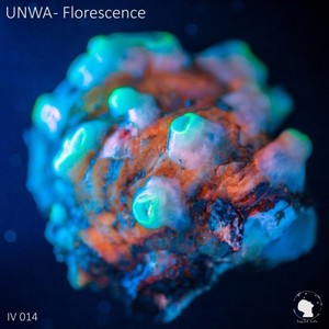 Florescence (Original Mix)