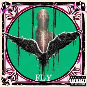 Fly (Prod. Draeco) (Explicit)