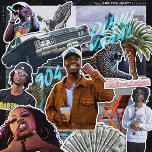 Are You Okay? (feat. Q Villa) (Explicit)