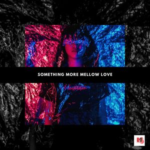 Something More Mellow Love (Original Mix)