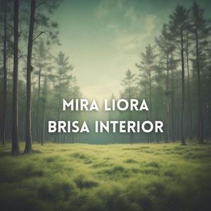 Brisa Interior