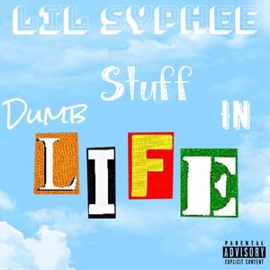 Dumb Stuff In Life (Explicit)