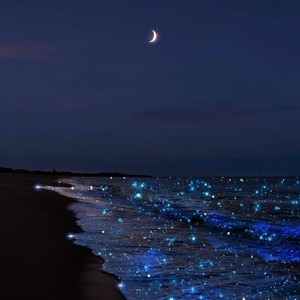 岁月神偷(能够紧握的就别放了)