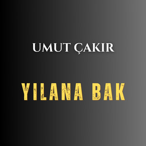 Yılana Bak