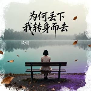 为何丢下我转身而去