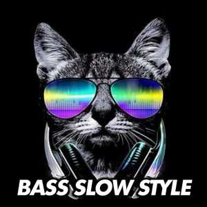 BASS SLOW STYLE