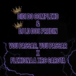 VOU PASSAR, VOU PASSAR x FLEXIONA A XRC GAROTA x TIK TOK (DIDI DO COMPLEXO Remix) [Explicit]