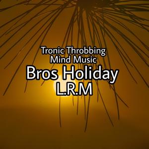 Bro's Holiday (Explicit)