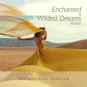 Enchanted & Wildest Dreams Mashup (Demo)