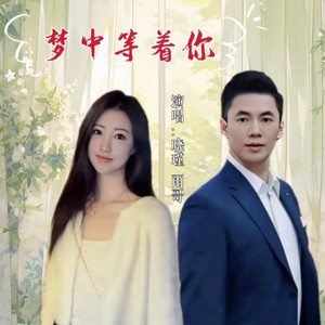 梦中等着你