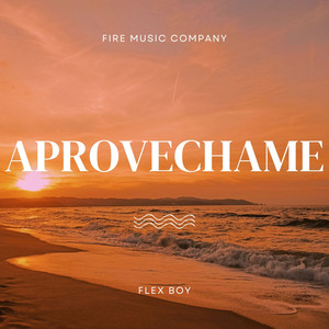 Aprovechame (Explicit)