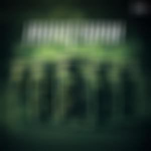 MARIJUANA (feat. Liil Pollo & El Zodiaco Montana) (Explicit)